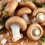 baby bella mushrooms